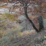 Ξενοδοχείο Montana Palentina 2*