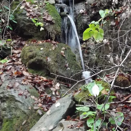 Montana Palentina 2* Guardo