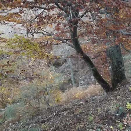 Szálloda Montana Palentina 2*