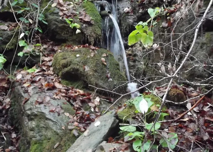 Montana Palentina 2* Guardo