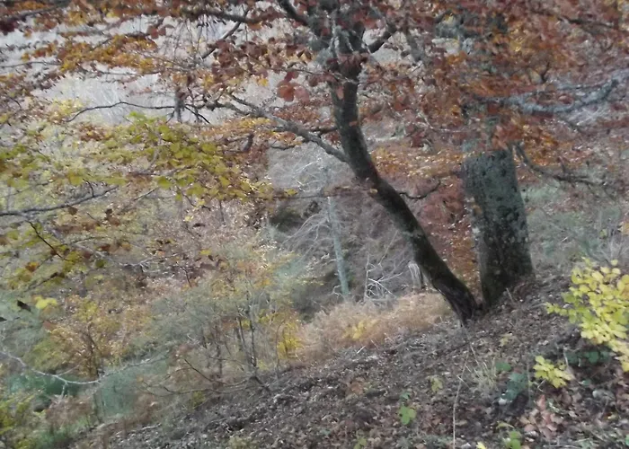 Ξενοδοχείο Montana Palentina 2*